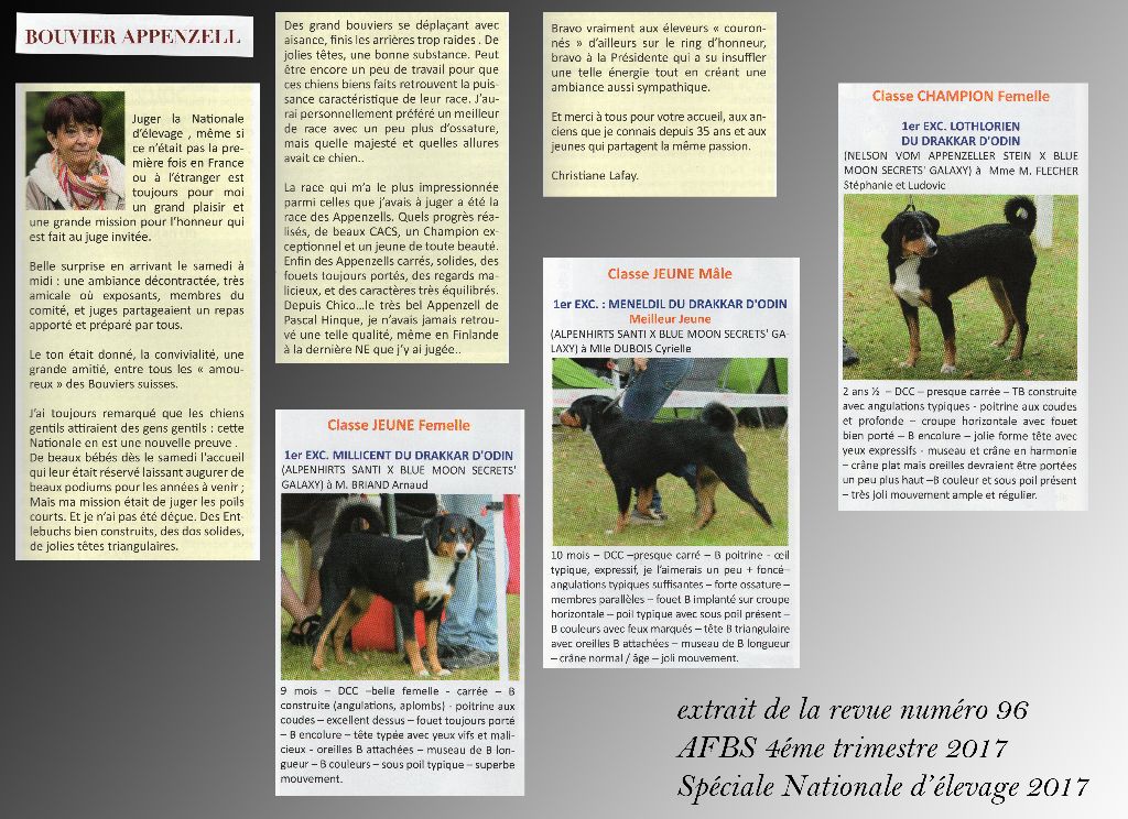 du Drakkar d'Odin - Mot de la Juge de la Nationale d'élevage AFBS 2017