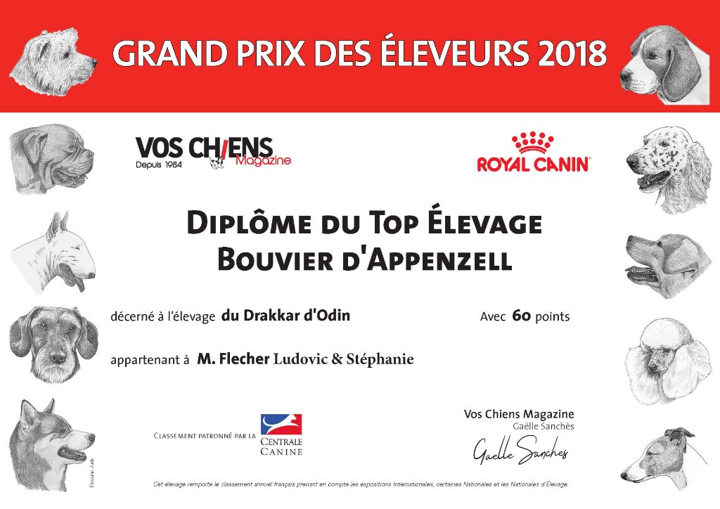 du Drakkar d'Odin - Grand Prix des Éleveurs 2018