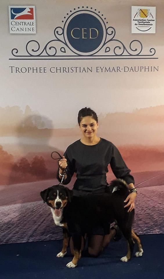 du Drakkar d'Odin - Grand prix Eymard Dauphin