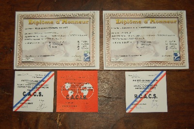 du Drakkar d'Odin - Exposition International Spéciale de race de Besançon (25)