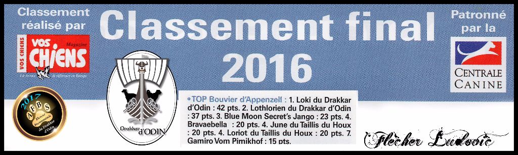 du Drakkar d'Odin - Résultats Officiels Top Chiens 2016