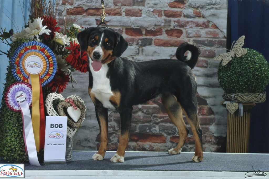 du Drakkar d'Odin - Championnat du Luxembourg