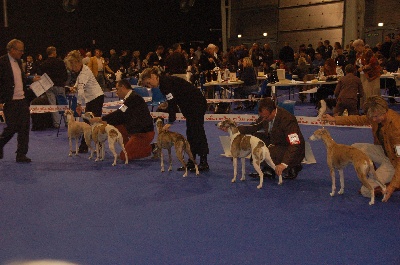 Exposition internationale de Douai (59)