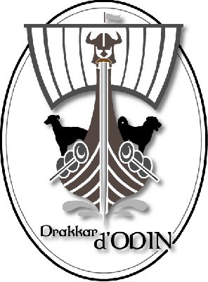 du Drakkar d'Odin